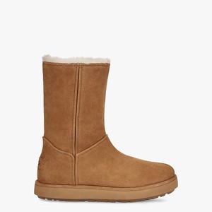 Ugg Classic Short BLVD Women Boots Brown (0546PTGQO)